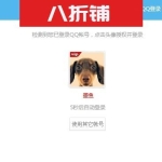 帝国CMS QQ登陆接口插件 适用于所有帝国7.2版本