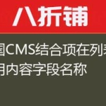 帝国CMS结合项在列表页调用内容字段名称