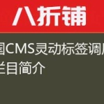 帝国CMS灵动标签调用指定栏目简介