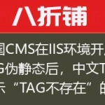 帝国CMS在IIS环境开启TAG伪静态后，中文TAG提示“TAG不存在”的最后解决方法！